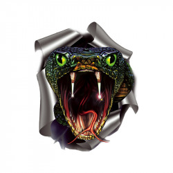 Avisa Autocollant Snake -...