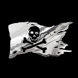 Avisa Nickel Sticker...