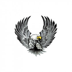Avisa Sticker set Eagles -...