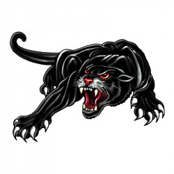 Avisa Sticker Panther...