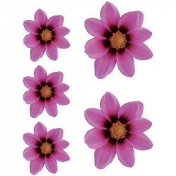 Avisa Sticker Flower Garden...