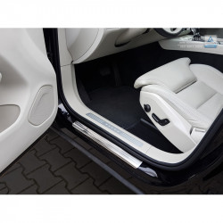 Inox door sill protectors...