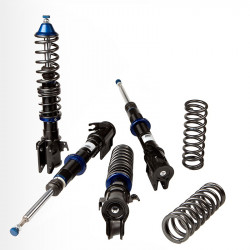 Cobra EVO-III Coil-over set...