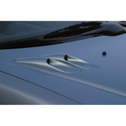 RGM Bonnet air-intakes...