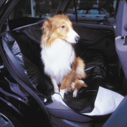 Dog/Pet blanket - black-...