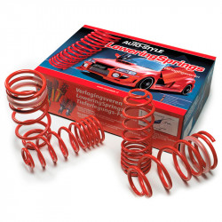 AutoStyle lowering springs...