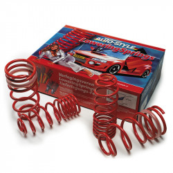 AutoStyle lowering springs...