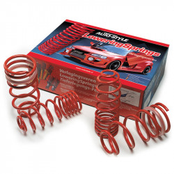 AutoStyle lowering springs...