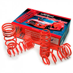 AutoStyle lowering springs...
