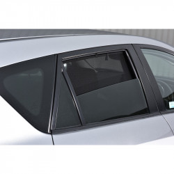 Set Car Shades passend voor...