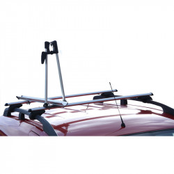 Twinny Load Roof bicycle...