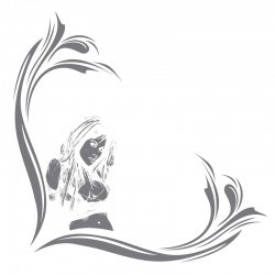 Avisa Auto Tattoo Window...