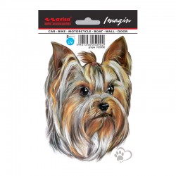 Avisa Auto Tattoo Sticker...