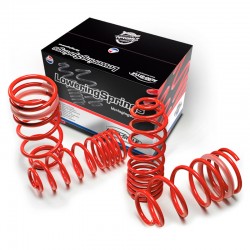 AutoStyle lowering springs...