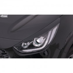 Head light spoilers...