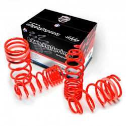 AutoStyle lowering springs...