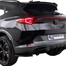 Oneway Rear Side Diffusors...
