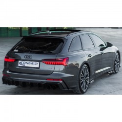 Oneway Trunk Spoiler...