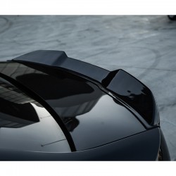 Oneway Trunk Spoiler...