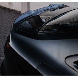 Oneway Trunk Spoiler...