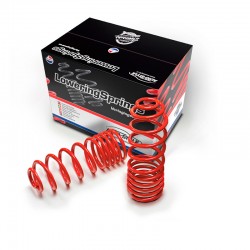 AutoStyle lowering springs...