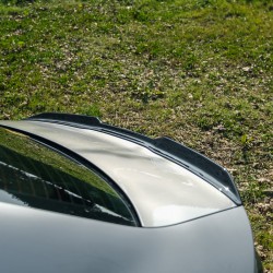 Oneway Trunk Spoiler...