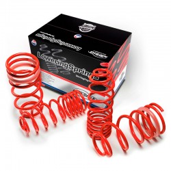 AutoStyle lowering springs...