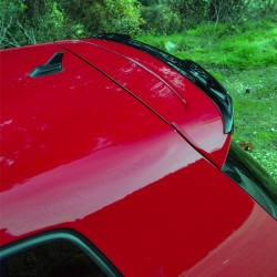 Oneway Roof Spoiler (Cap)...