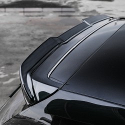 Oneway Roof Spoiler (Cap)...
