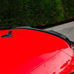 Oneway Roof Spoiler (Cap)...