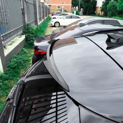 AutoStyle Dakspoiler...