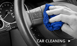Car-Cleaning